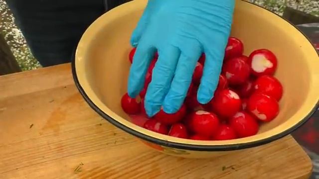 РЕДИСКА за 2 дня БЕЗ УКСУСА моя семья съедает БАНКАМИ Почему никто так не делает