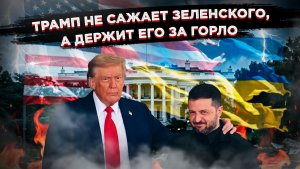 Киев на крючке: 56 дел о коррупции как дубина для демократов и удавка для Зеленского