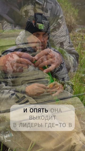Разбираем самое главное заблуждение