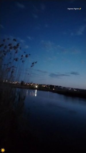 #вечер #красотаприроды #впечатляет #саратов #зеркальныйпруд #солнечный #топ #радостьдляглаз #врекоме
