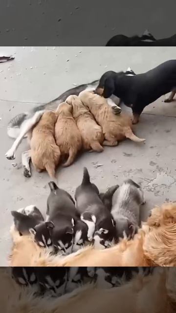 Перепутались чуть чуть