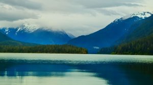 🌲 Спокойное озеро | Умиротворяющая дикая природа для глубокого релакса, медитации и восстановления.