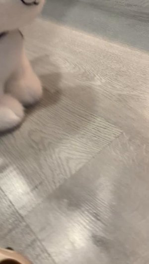 Хаски игрушка
