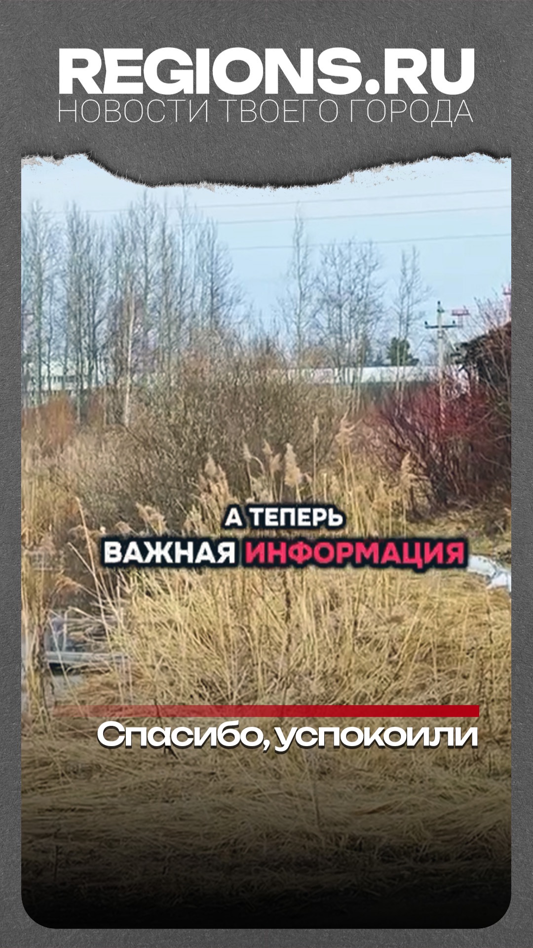 Волшебный закат