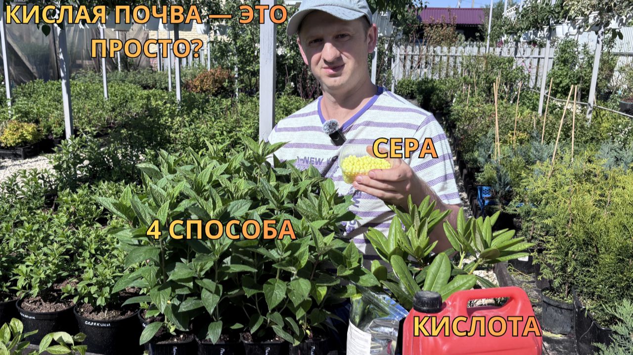ЭТО ДОЛЖЕН ЗНАТЬ КАЖДЫЙ! Как подкислить почву для ГОРТЕНЗИЙ, голубики и других кислолюбов