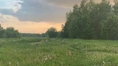 🐦🎀новое интро🎀🐦#интро#аватар ворлд#семья астер