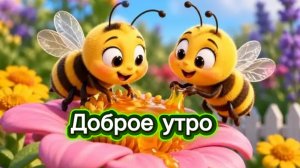 Доброе утро. Солнца лучики играют, просыпается рассвет.