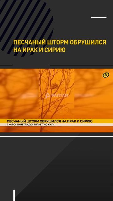 Песчаный шторм обрушился на Ирак и Сирию