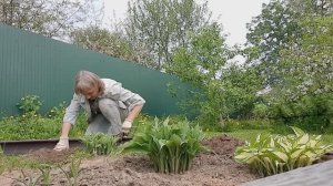 Много кошу, сажаю лук, про клумбу и стройку в середине мая.