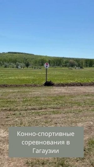 В Гагаузии прошли конноспортивные соревнования «Алтын Ат»