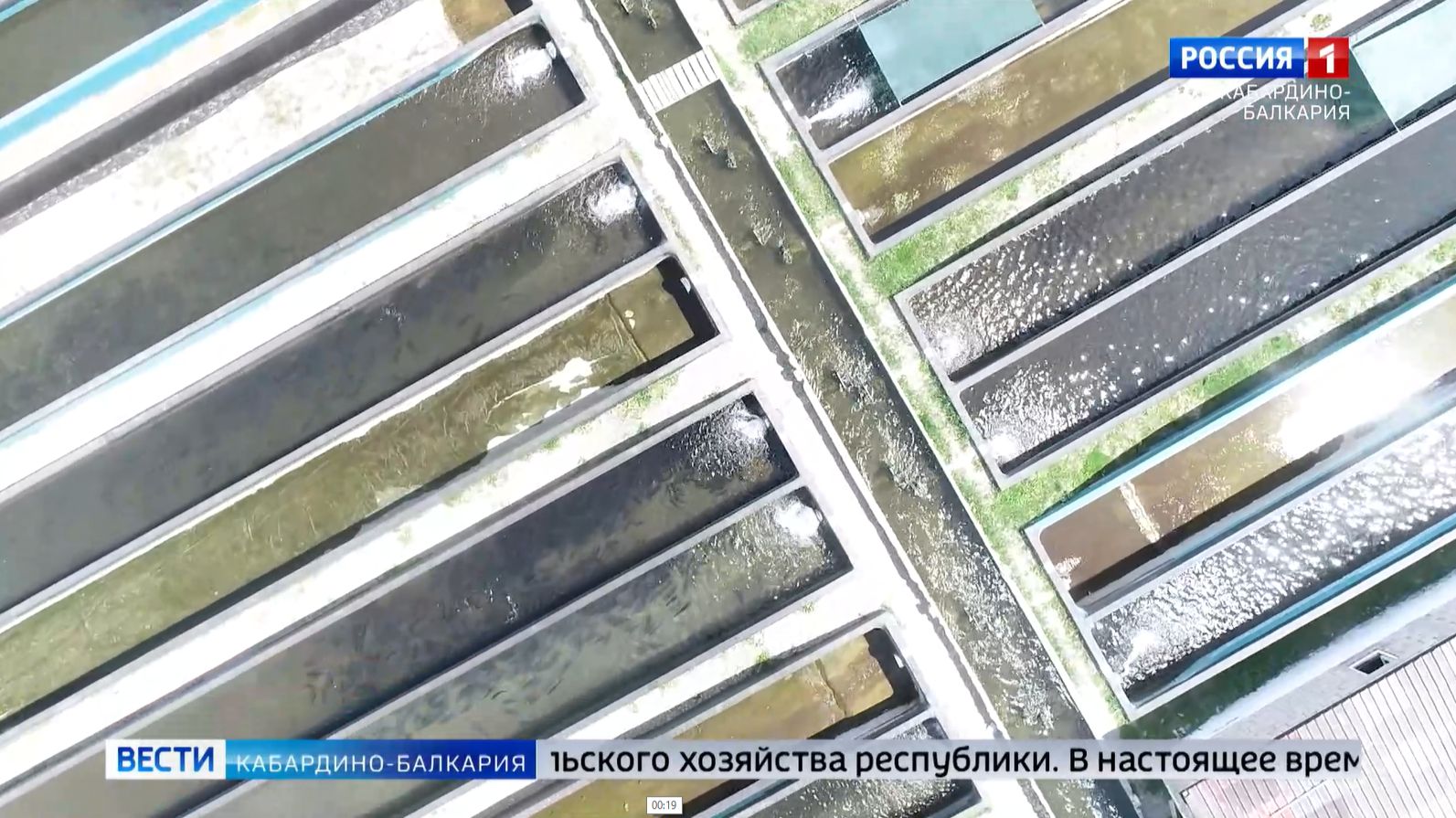 В КБР в ближайшие годы вырастет производство рыбы