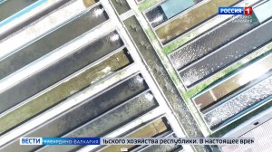 В КБР в ближайшие годы вырастет производство рыбы