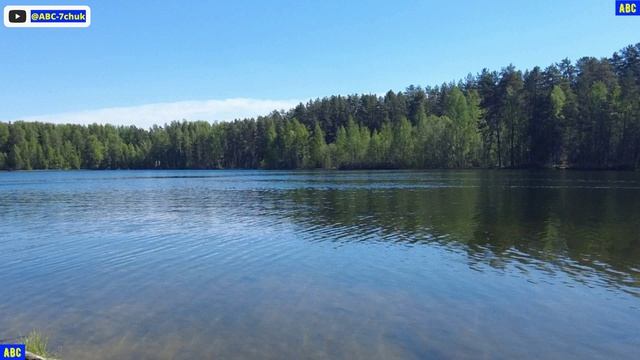 День пионерии и плавание на Светлом #юныйпрадедбодрыйдед #авсарх
