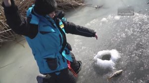 «ТАТЬЯНИН ДЕНЬ» За рулем вездехода. Зимняя рыбалка в Астрахани.