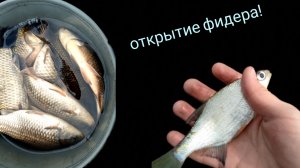 Открытие сезона фидера в МАЕ ! Рыбалка на КАРАСЯ