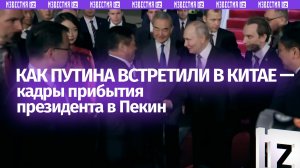 Путин прилетел в Китай с официальным визитом. Как встретили президента России