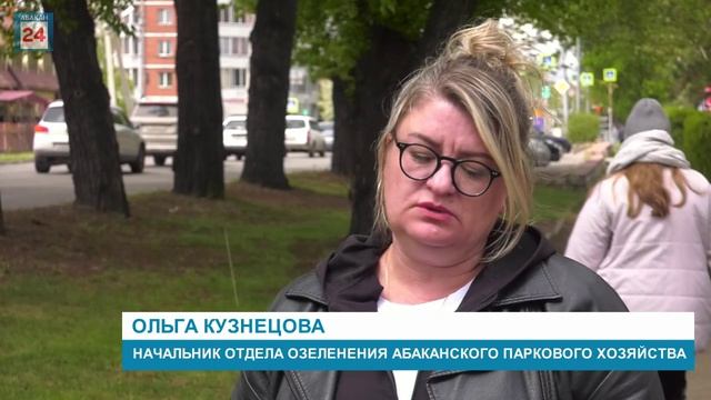 Ландшафтный порядок на улицах наводит столица Хакасии:косари и техника убирают лишнюю растительность