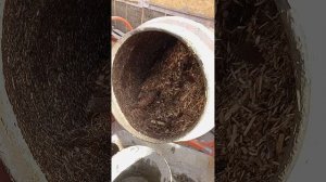 Баня из арболита, пропорции, возведение стен.