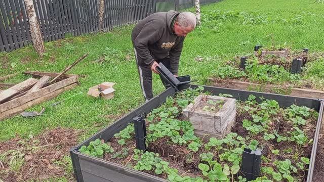 Отходы в доходы. Старый ДПК на грядку. 🙃