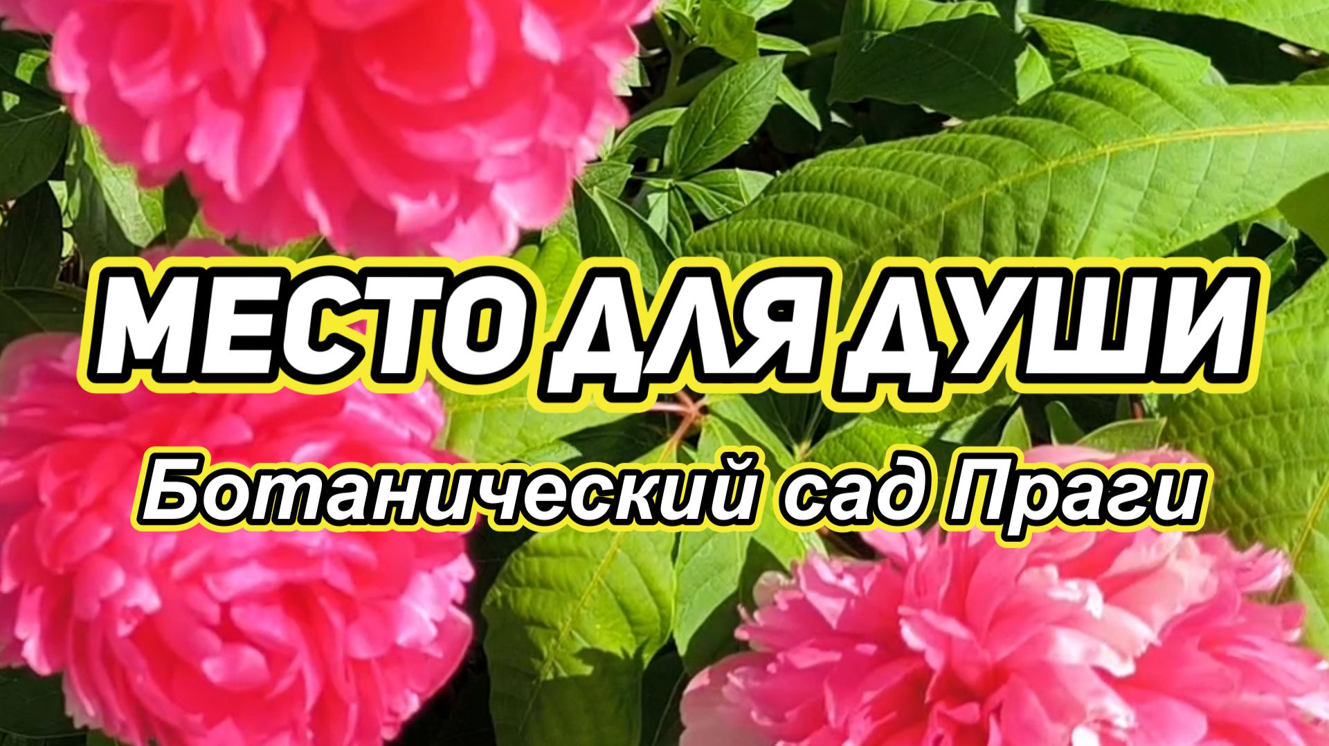 БОТАНИЧЕСКИЙ САД ПРАГИ | МЕСТО ДЛЯ ДУШИ