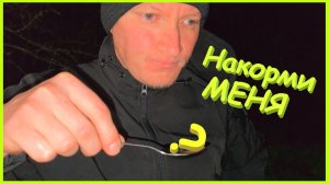 Накорми меня | Дом у дороги | Хотим как они | Жизнь в деревне | Заимка на Урале