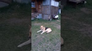 1000023312.mp4