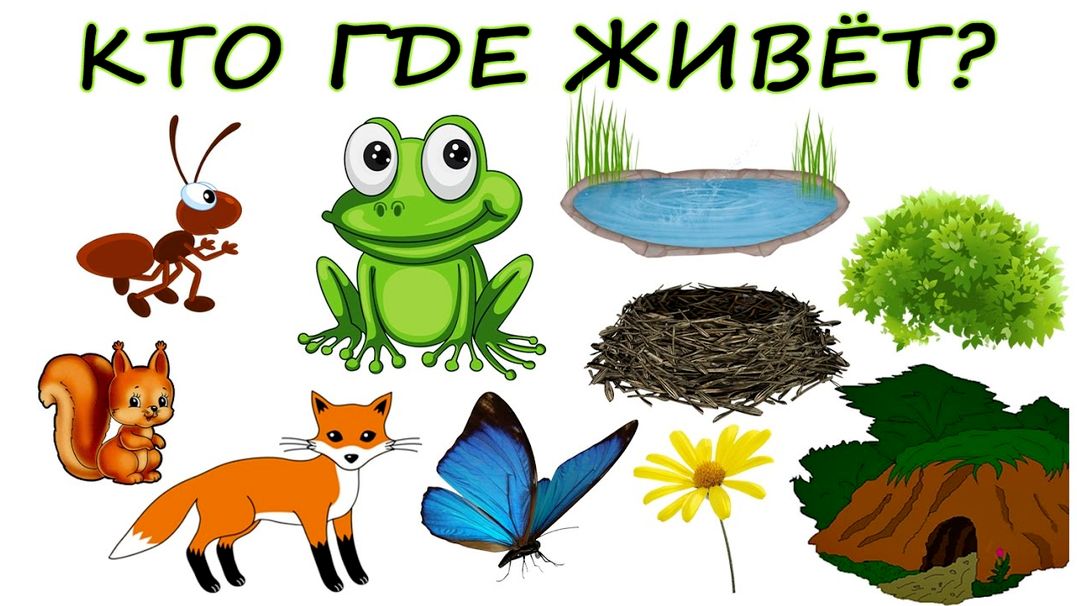 Кто где живет/Развивающие мультики для детей/Развитие речи/Учим слова учимся говорить