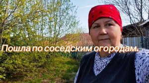 Съездили в Город)Соседка продала калину) Дела домашние)