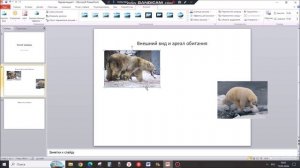 Задание 13_1. Презентация. ОГЭ - 9 класс. Информатика