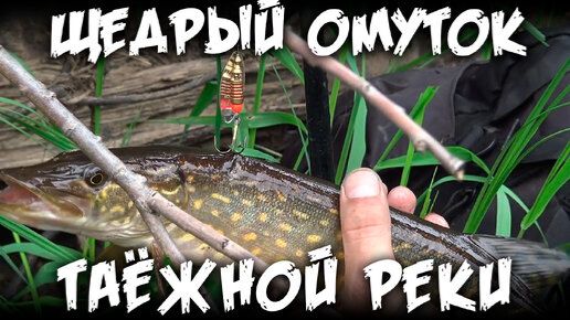 рыбачу на речке ЩЕДРЫЙ ОМУТОК ТАЕЖНОЙ РЕКИ
