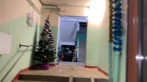 #147 Ноябрь с дождем и набухшими почками, прогулки с любимым мужем и обычные деньки