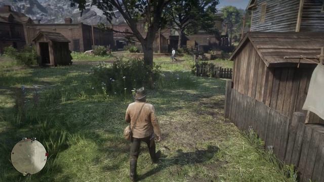 Red Dead Redemption 2 . Прохождение 2