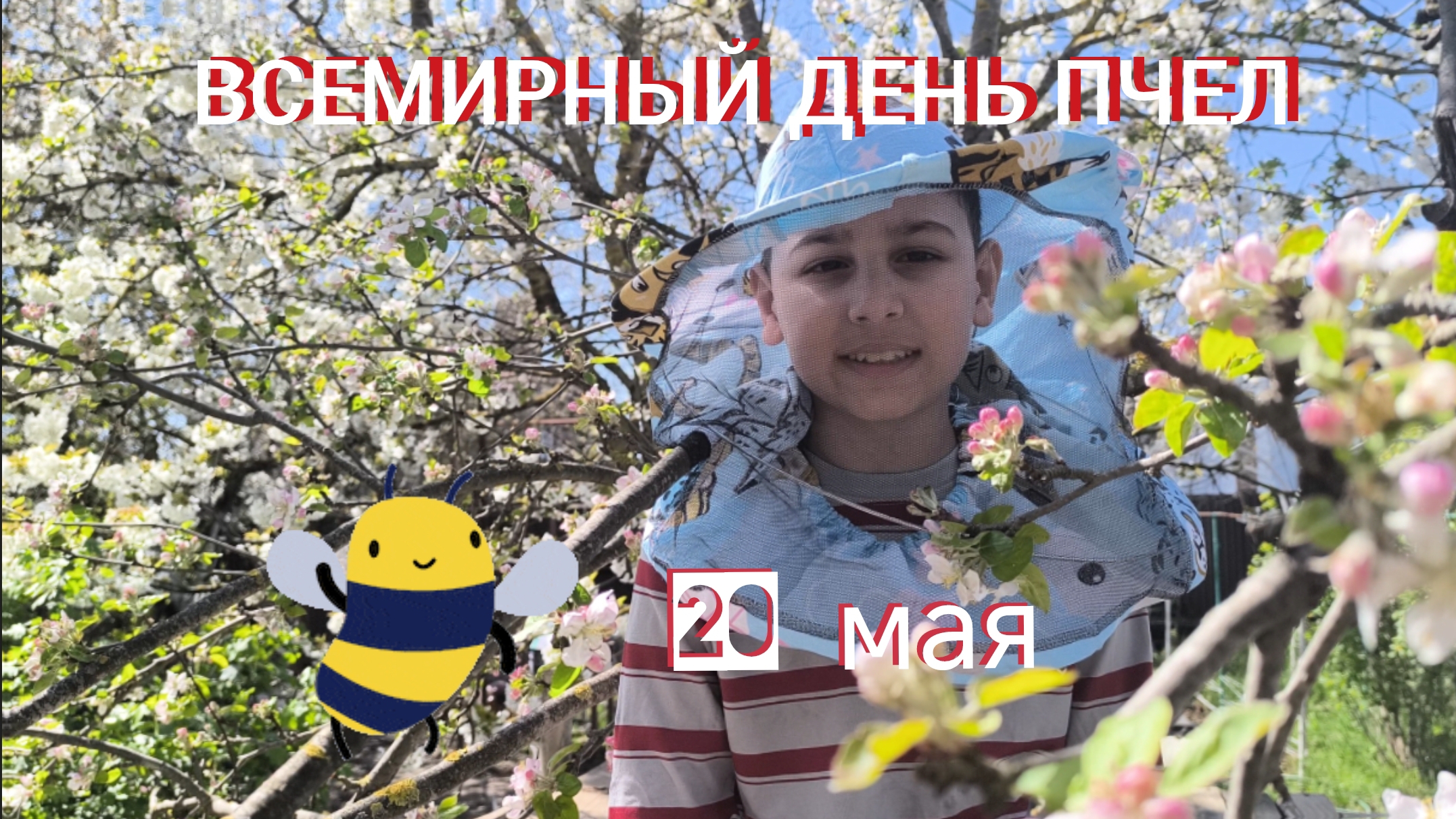 Пчелы #пользапчел #апитерапия #продуктыпчеловодства #профессиипчел #20мая #деньпчел #важностьпчел