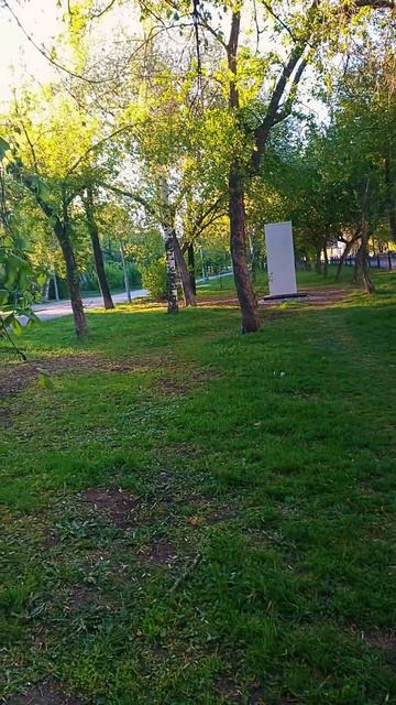 Утро, когда мир принадлежит только нам....🐕🐾🌷