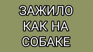 Ранения ОКСАНЫ и фальшивое благородство ДОМОСЕРА