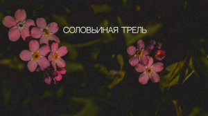 Соловьиная трель