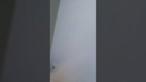 гуляем по домофонам ч5