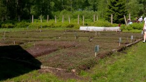 Придать новый импульс развития