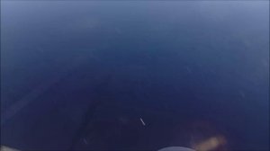 Форель и осётр основа уловов с Нижнего пруда. Обзор с водоёма. Клёвое место лосиный остров