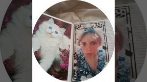 Видеокружок: обзор коллажей в записном книжке