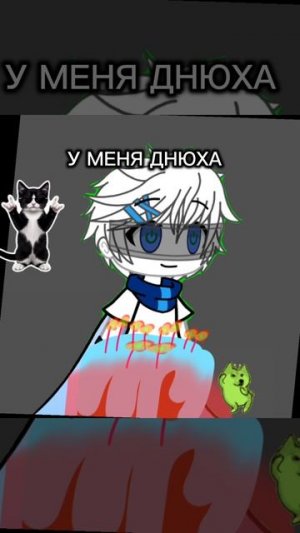 у меня др