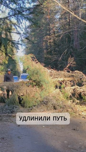 Влияет ли размер приманки на результат? Давайте разбираться