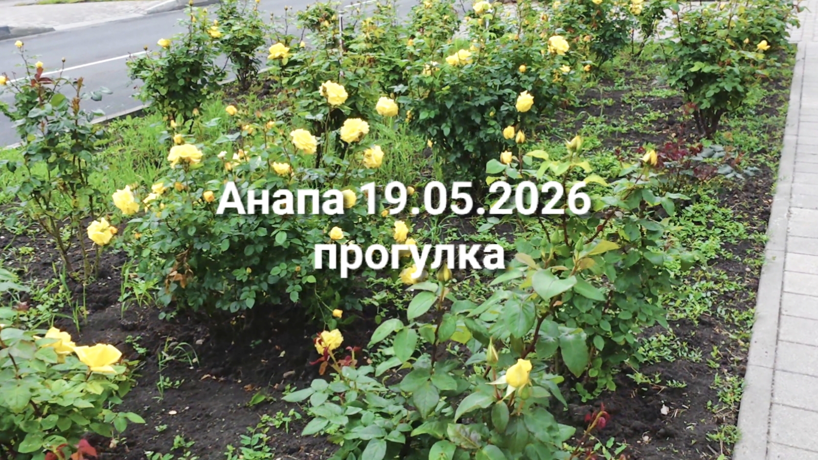 Анапа 19.05.2026 прогулка