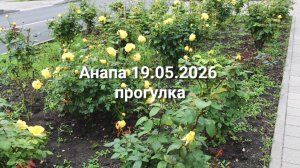 Анапа 19.05.2026 прогулка
