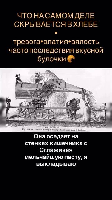 Глютен дрожжи это одна из самых частых причин депрессии и панических атак