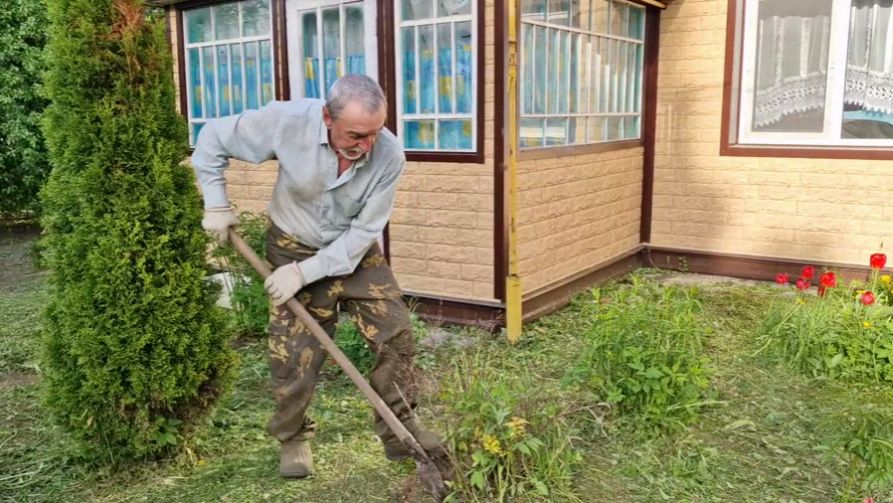 ЛЁШИК КОСИТ, А Я КОВЫРЯЮСЬ НА ГРЯДКАХ. КОРОТКО О НАШИХ ОТНОШЕНИЯХ С СОСЕДЯМИ.