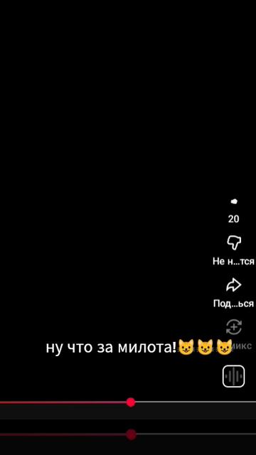 что за милота ❤️❤️🎀🎀🎀🎀😺😺😺😺 смотреть онлайн