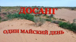 Энтомологические вылазки: Досанг, середина мая