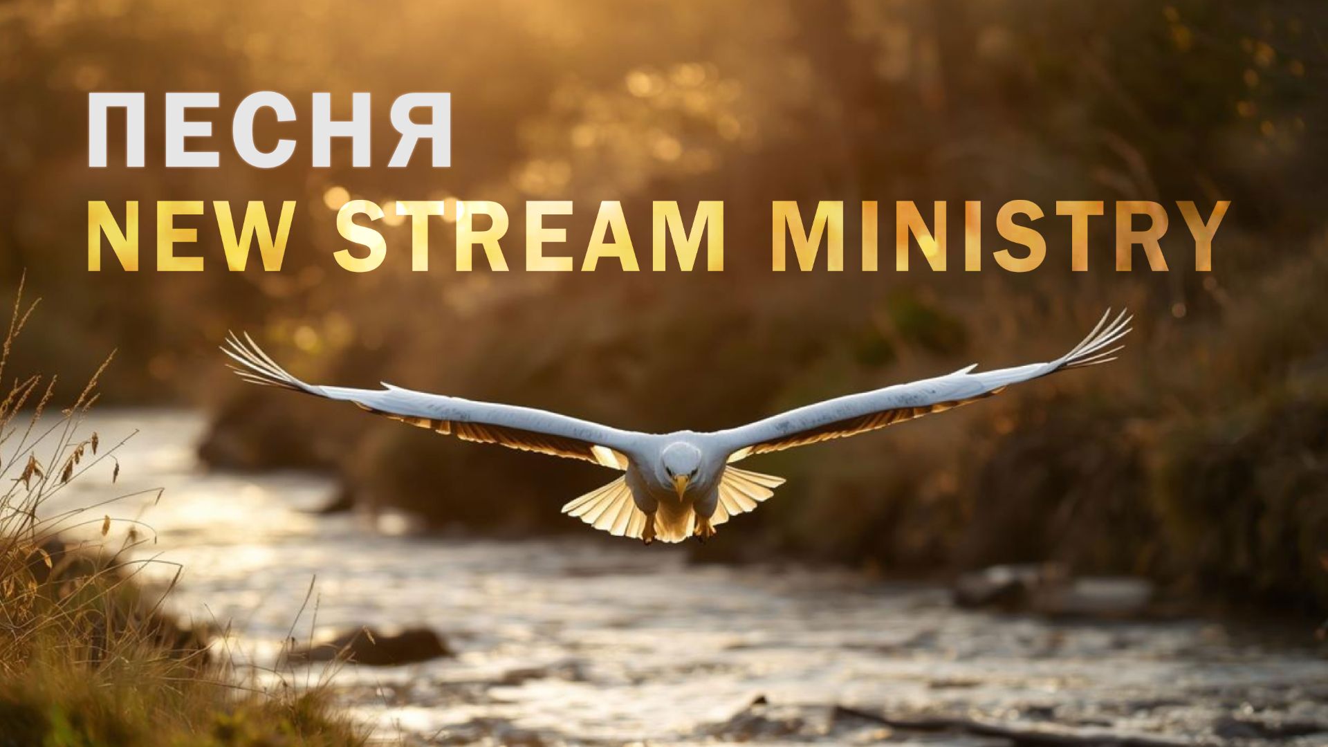 Песня о New Stram Ministry