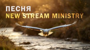 Песня о New Stram Ministry
